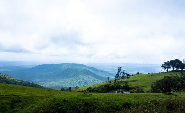 他们在主场 他们在主场