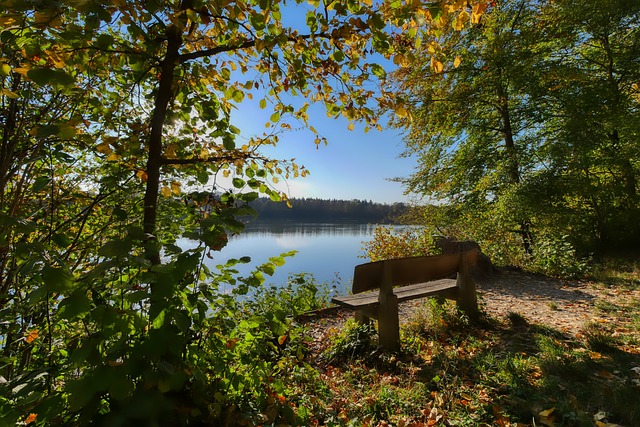 后时刻吞下 后时刻吞下