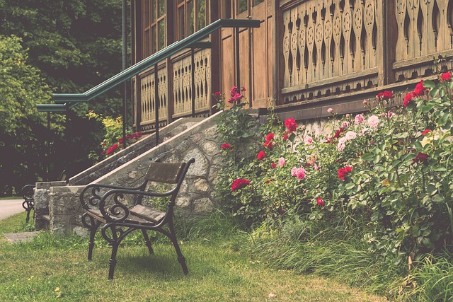 场风波背后 场风波背后