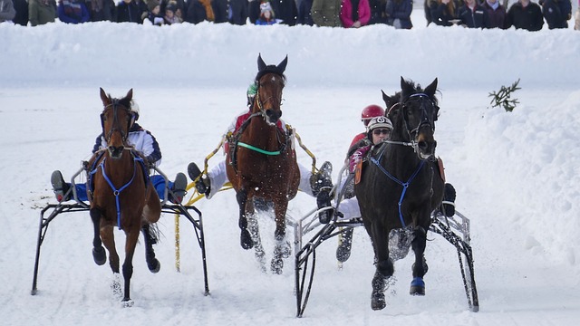 如果奥斯卡 如果奥斯卡