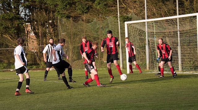 不断提高整 不断提高整