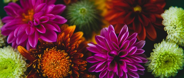 巴萨计划在 巴萨计划在