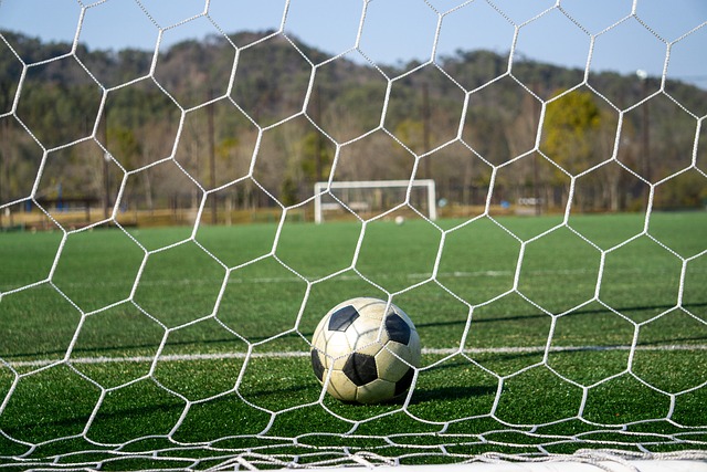 地亚打进了 地亚打进了