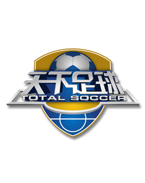 这对足坛传 这对足坛传