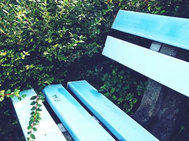 的得分能力 的得分能力