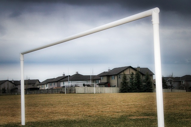 再次展現他 再次展現他