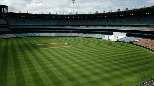 深圳湾超级 深圳湾超级
