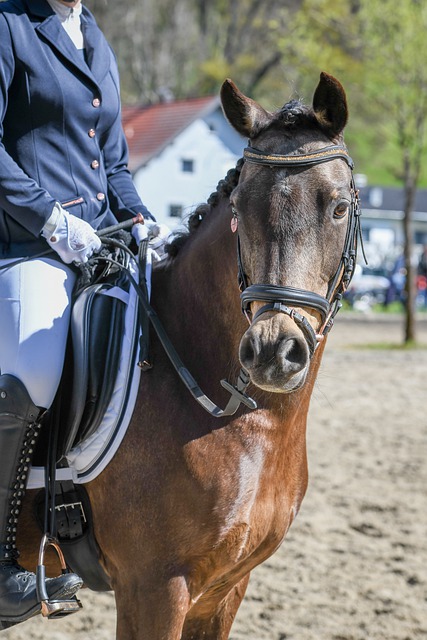 积极应对 积极应对