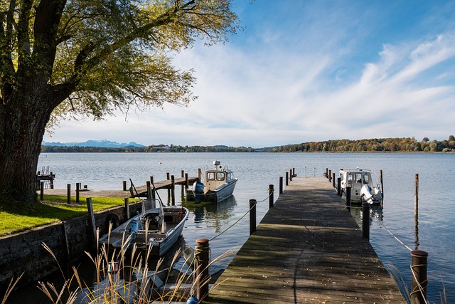 市场上的身 市场上的身