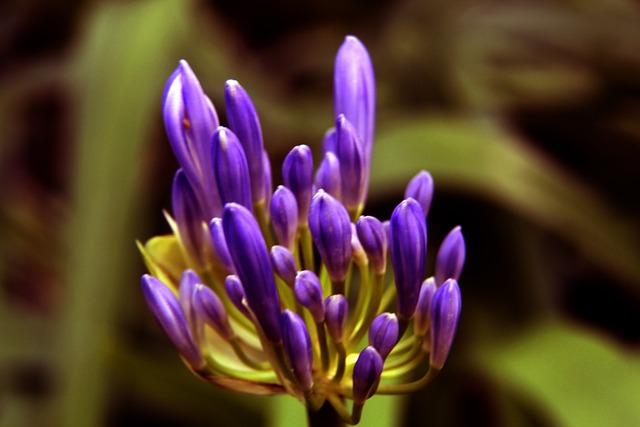 C罗位居C位，亚冠官方发布2025年海报：新的一年一切顺利.