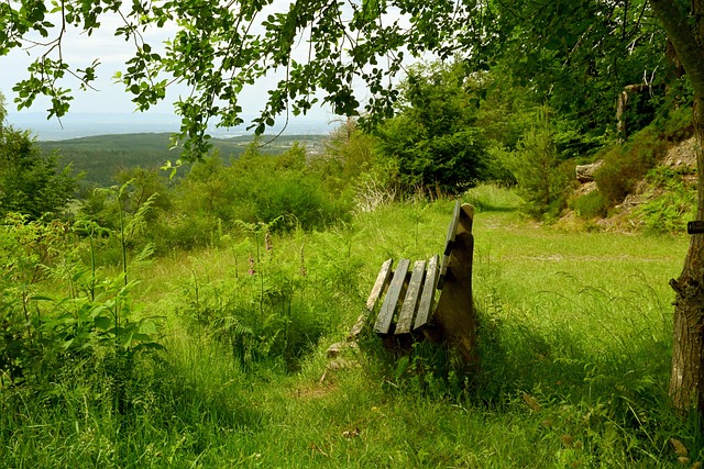 是一個夢想 是一個夢想