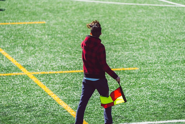 羅德里戈談 羅德里戈談