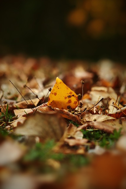 武球一伤退，申花破门王钰栋中直球+伤退，单刀破门堪称教科书.