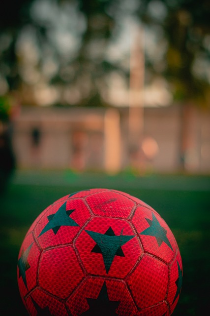 成都蓉城的 成都蓉城的