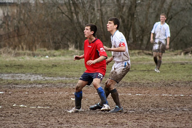 的表现赢得 的表现赢得